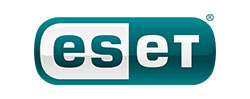 succeed-2